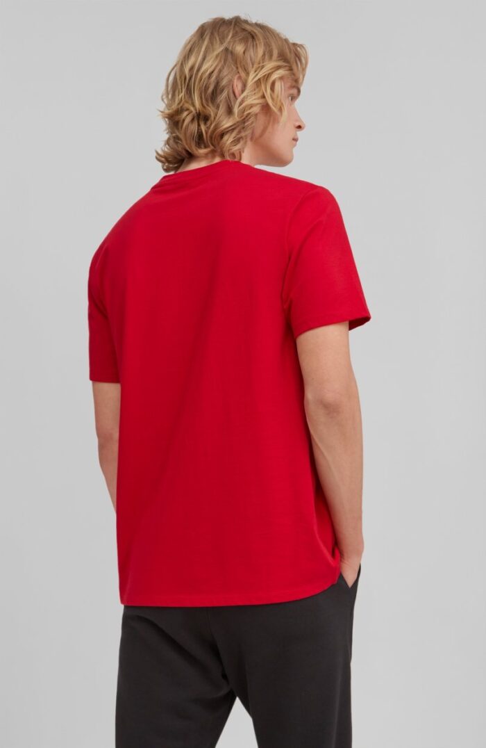 Cube SS férfi póló modellen hátulról, piros színű
