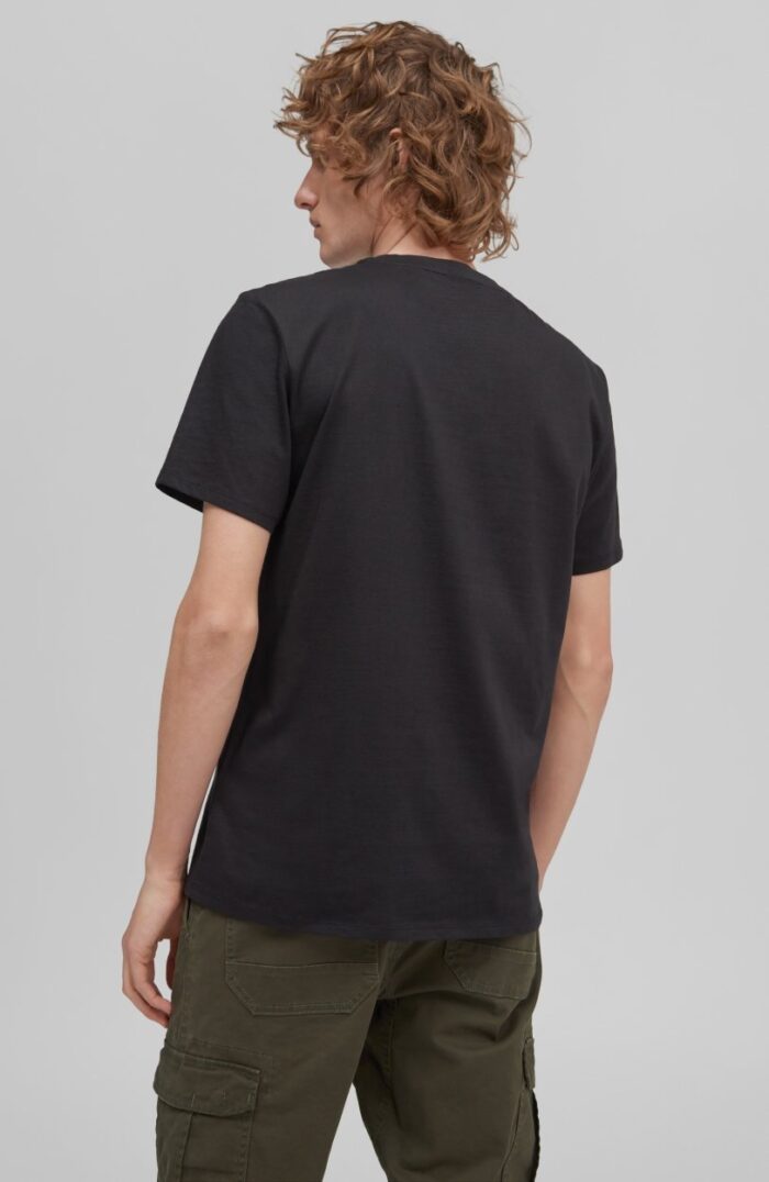 Cube SS férfi póló modellen hátulról, fekete színű