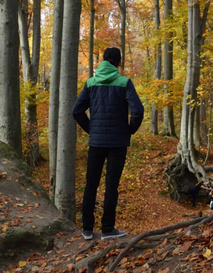 Transit férfi kabát ószi erdőben